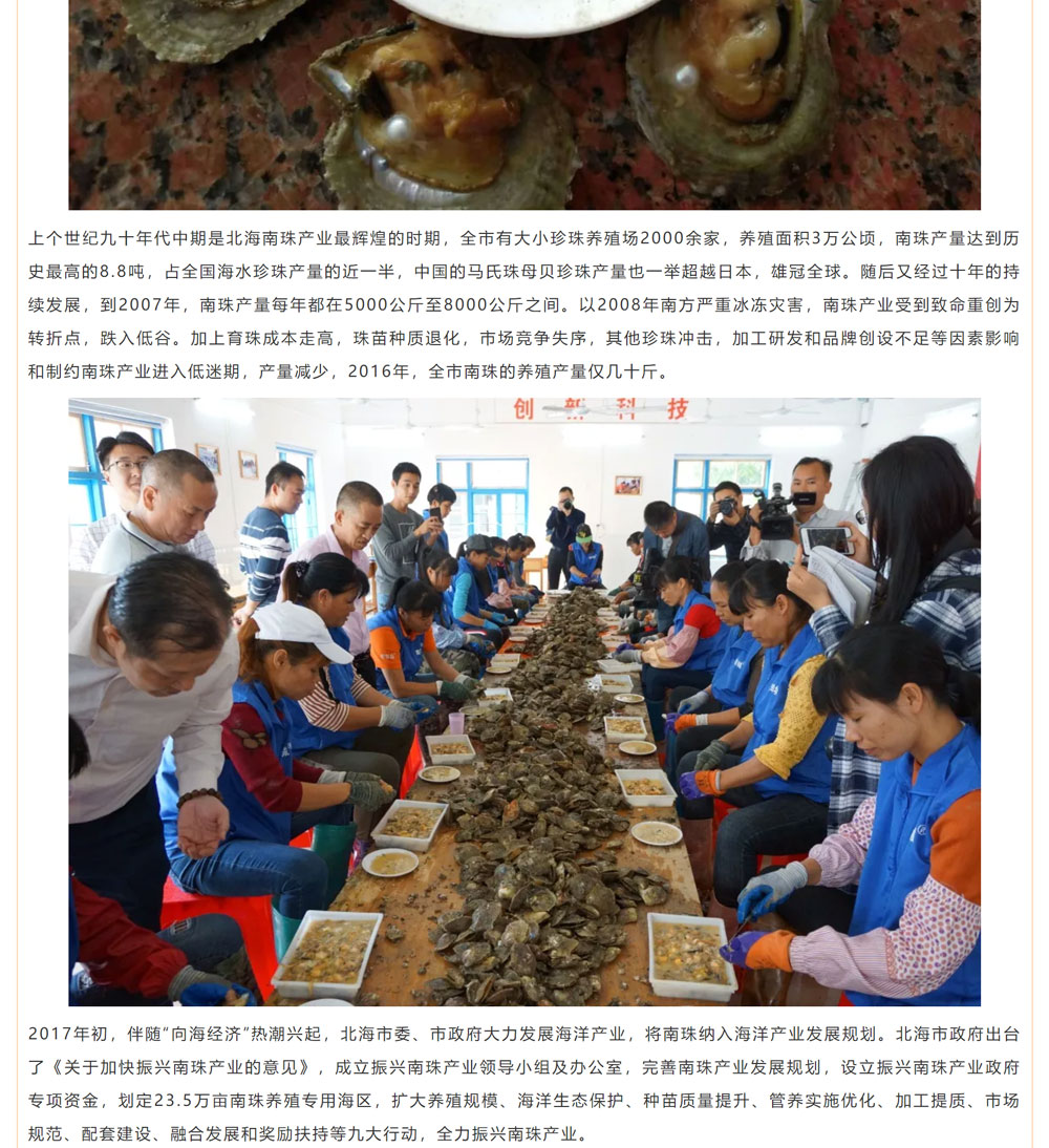 古老南珠，綻放異彩