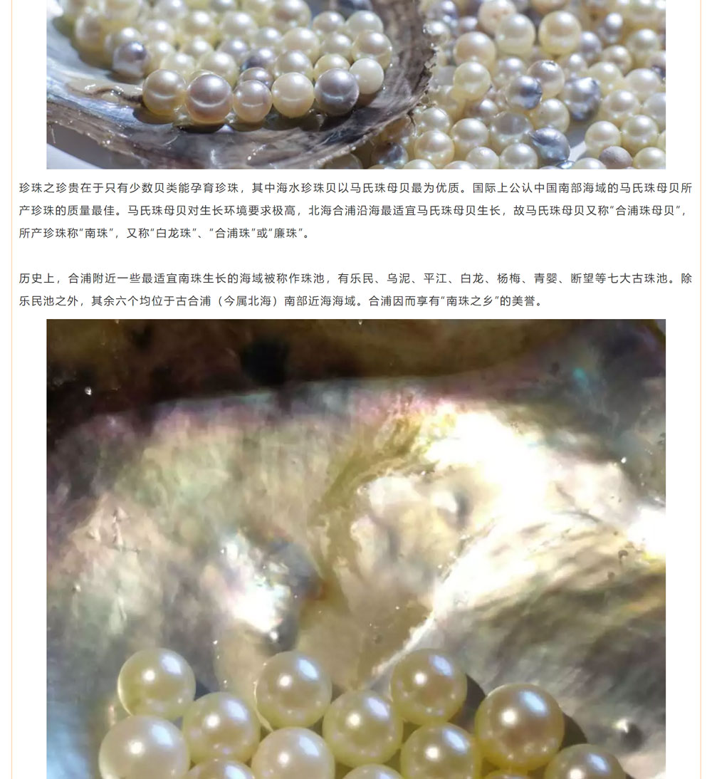 古老南珠，綻放異彩